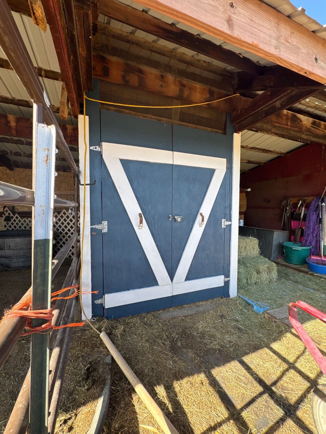 Repainted blue double barn doors with white diagonal bracing on the shed in Golden, Colorado