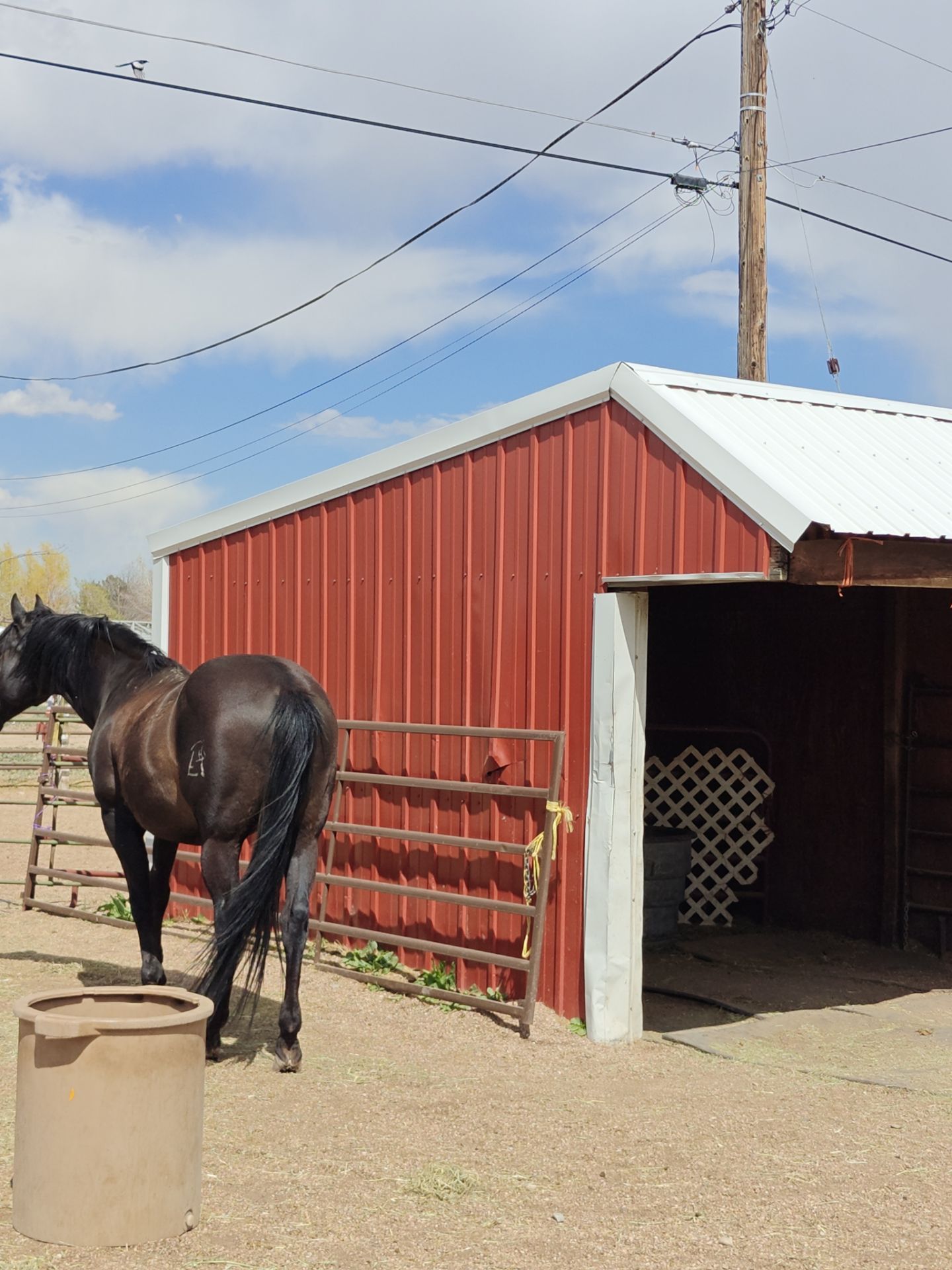 Before: the same front corner of the shed with the original red metal siding and a dented panel
